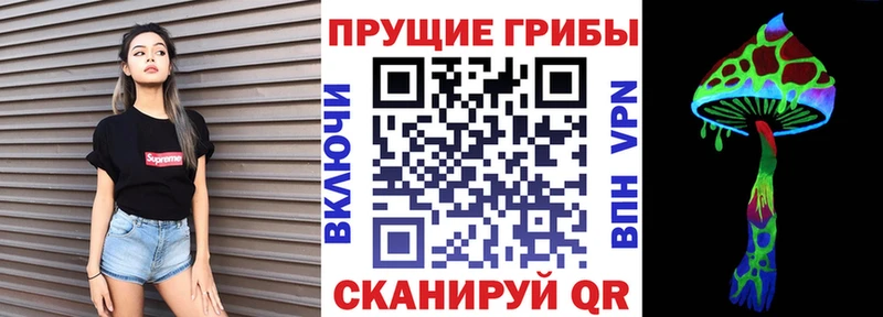 Псилоцибиновые грибы Magic Shrooms  мега tor  Лахденпохья 